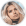 Carnetwork